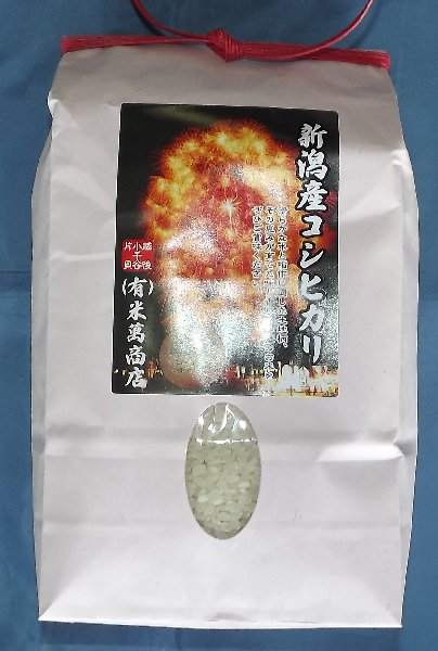 �V���Y�R�V�q�J�����Ďl�ڋʃ��x��