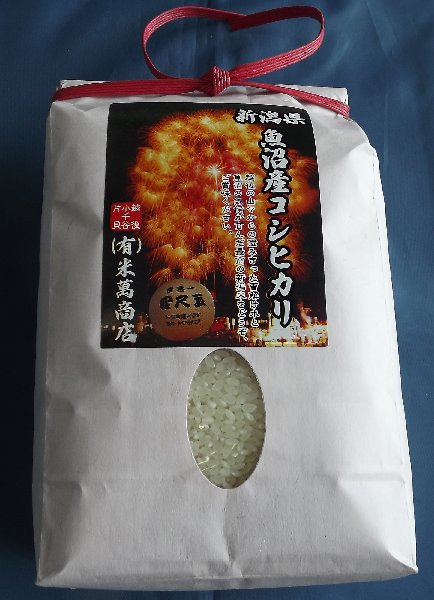 �����Y�R�V�q�J�����Ďl�ڋʃ��x��